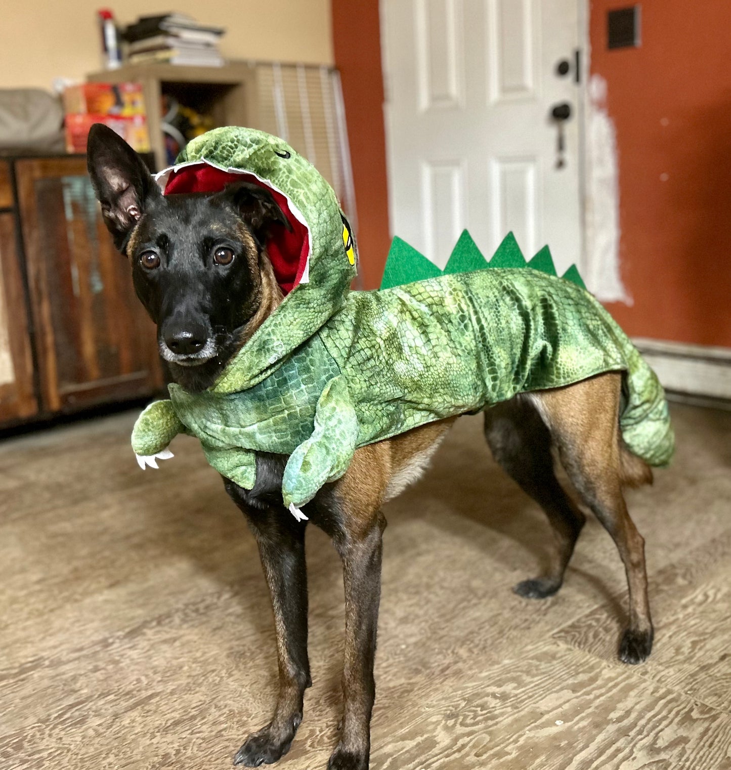 Dog wearing a green dinosaur costume indoors